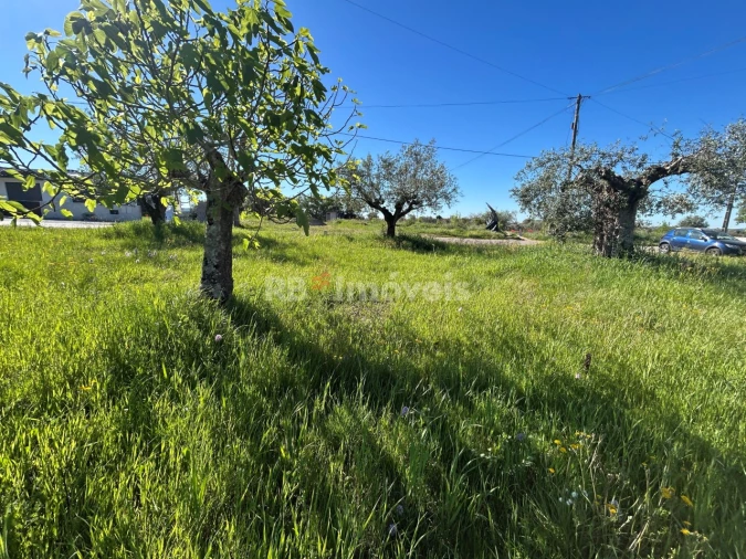 Terreno para Venda em Casais e Alviobeira Foto 6