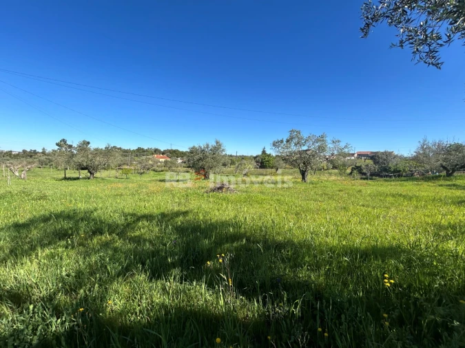 Terreno para Venda em Casais e Alviobeira Foto 7