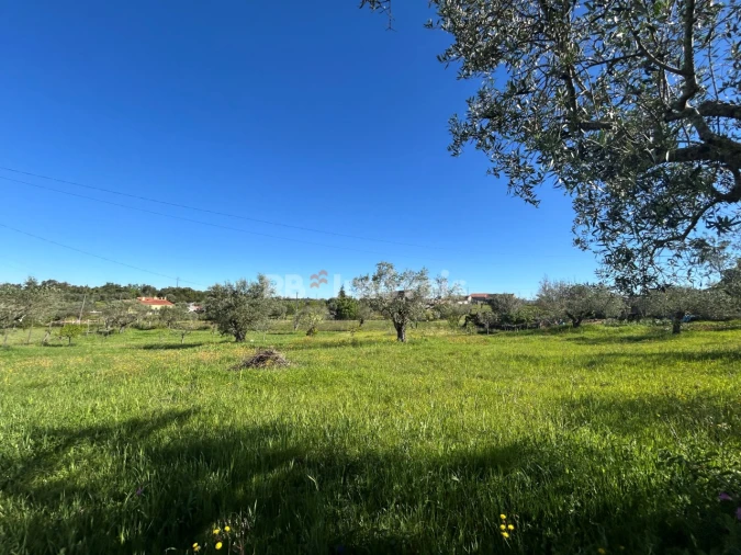 Terreno para Venda em Casais e Alviobeira Foto 10
