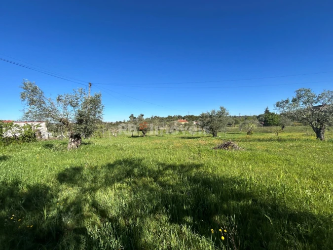 Terreno para Venda em Casais e Alviobeira Foto 13