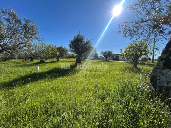 Terreno para Venda em Casais e Alviobeira Foto 15