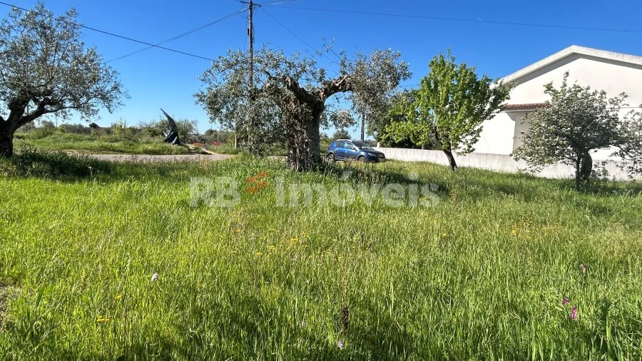Terreno para Venda em Casais e Alviobeira
