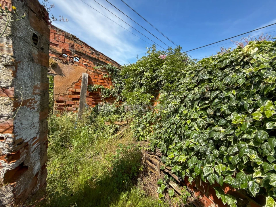 Quinta T3 para Venda em Paialvo Foto 16