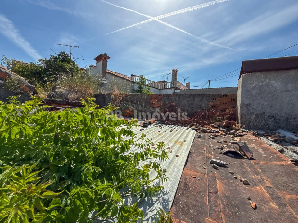 Quinta T3 para Venda em Paialvo Foto 1