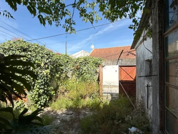 Quinta T3 para Venda em Paialvo