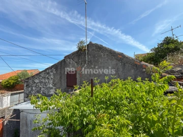 Quinta T3 para Venda em Paialvo