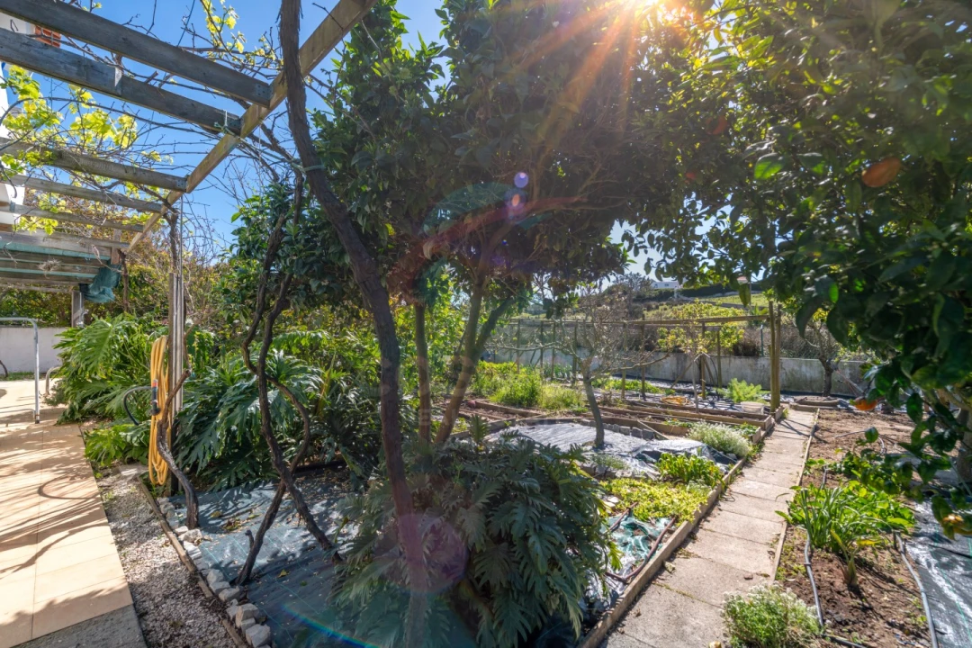 Moradia T5 para Venda em Aljezur Foto 48