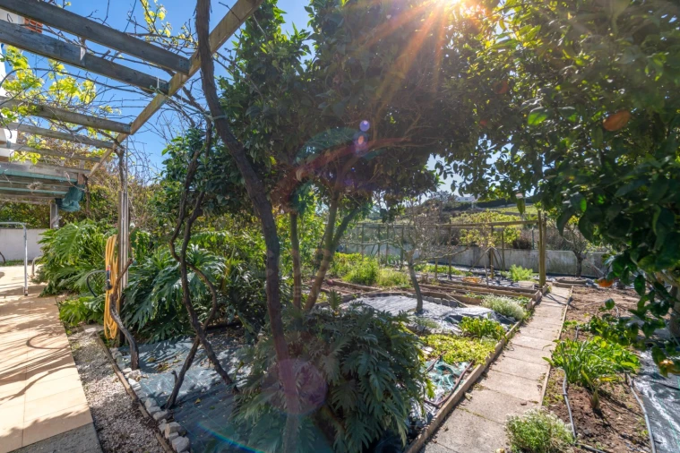 Moradia T5 para Venda em Aljezur Foto 48