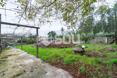 Terreno para Venda em Nogueira e Silva Escura