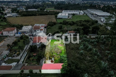 Terreno para Venda em Nogueira e Silva Escura