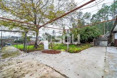 Terreno para Venda em Nogueira e Silva Escura