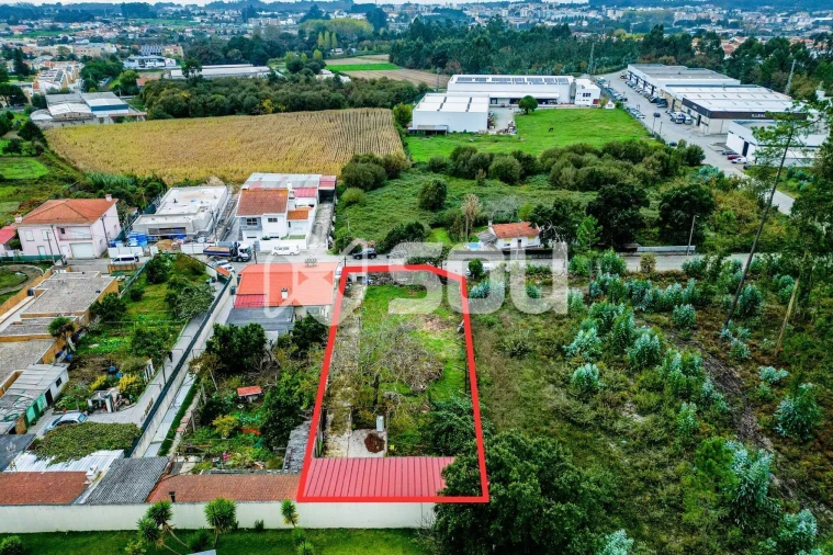 Terreno para Venda em Nogueira e Silva Escura Foto 4