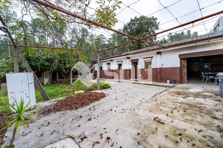 Terreno para Venda em Nogueira e Silva Escura Foto 8