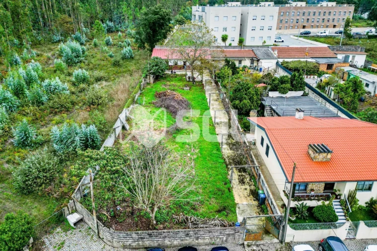 Terreno para Venda em Nogueira e Silva Escura Foto 7