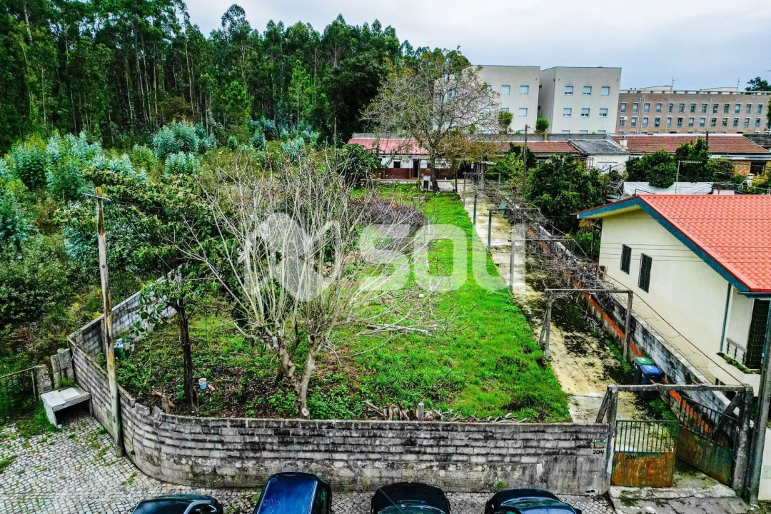Terreno para Venda em Nogueira e Silva Escura Foto 6