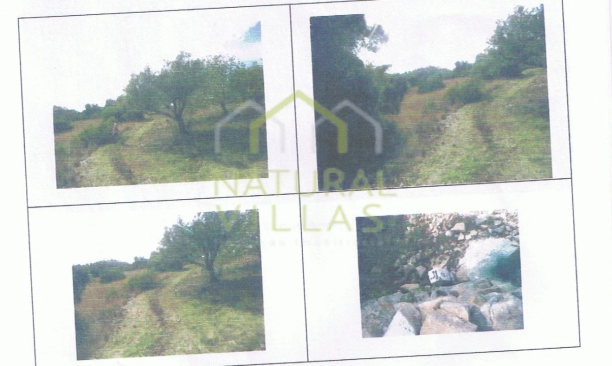 Terreno Agricola ou Rústico para Venda em Loule (São Clemente) Foto 1