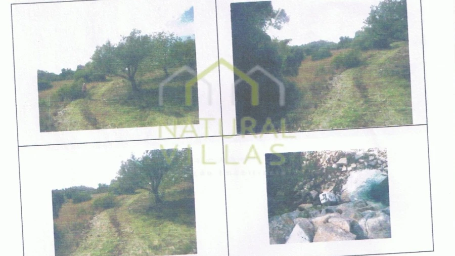 Terreno Agricola ou Rústico para Venda em Loule (São Clemente)