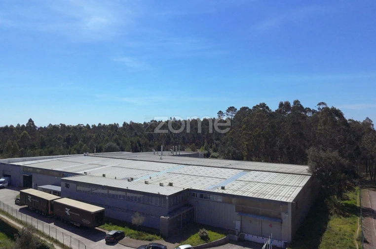 Terreno Comércio / Armazém para Venda em Malta e Canidelo Foto 14