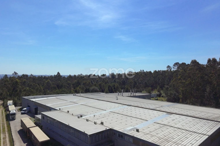 Terreno Comércio / Armazém para Venda em Malta e Canidelo Foto 16