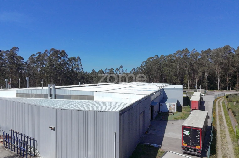Terreno Comércio / Armazém para Venda em Malta e Canidelo Foto 17