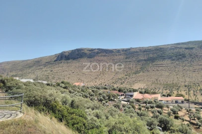 Moradia T3 para Venda em Mira de Aire