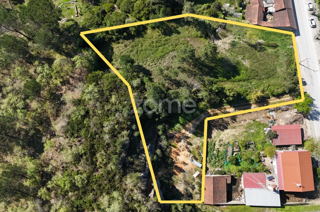 Terreno para Venda em Portunhos e Outil Foto 8