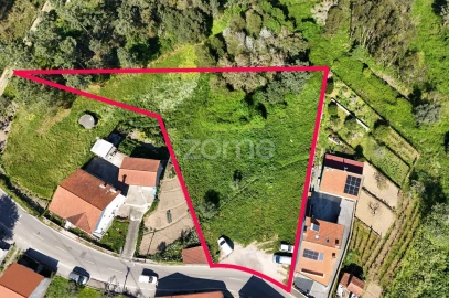 Terreno para Venda em Eiras e São Paulo de Frades