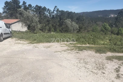 Terreno para Venda em Eiras e São Paulo de Frades