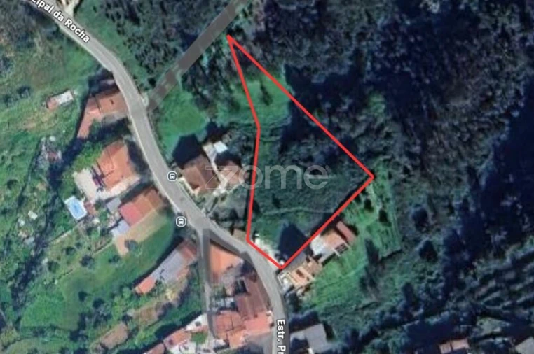 Terreno para Venda em Eiras e São Paulo de Frades Foto 3