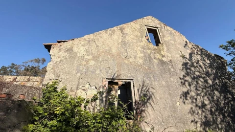 Terreno para Venda em Amoreira