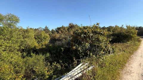 Terreno para Venda em Amoreira