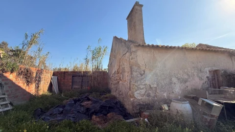 Terreno para Venda em Amoreira