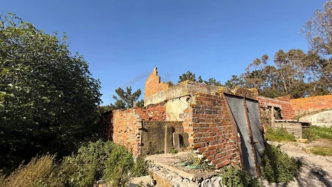 Terreno para Venda em Amoreira