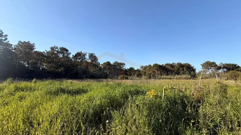 Terreno para Venda em Amoreira