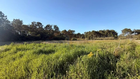 Terreno para Venda em Amoreira