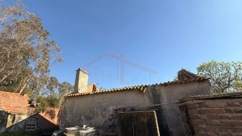 Terreno para Venda em Amoreira