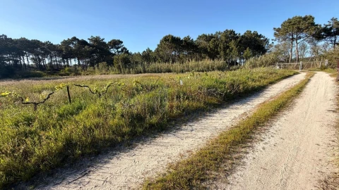 Terreno para Venda em Amoreira