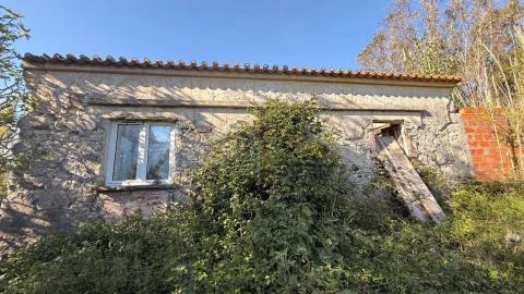 Terreno para Venda em Amoreira