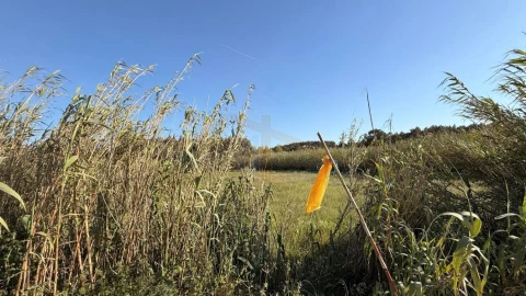 Terreno para Venda em Amoreira