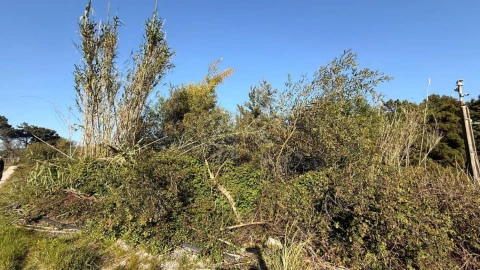 Terreno para Venda em Amoreira