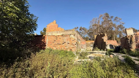 Terreno para Venda em Amoreira