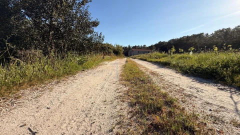 Terreno para Venda em Amoreira