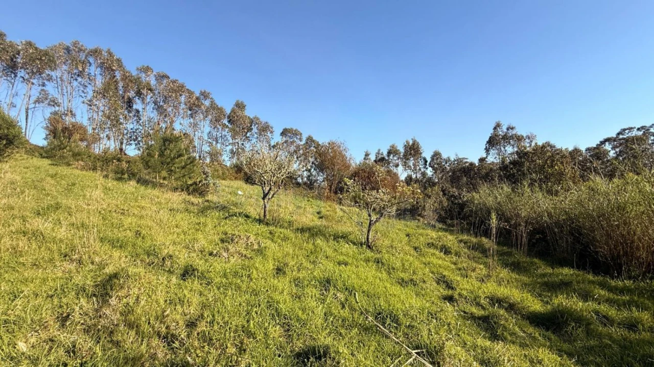Terreno para Venda em Amoreira Foto 18