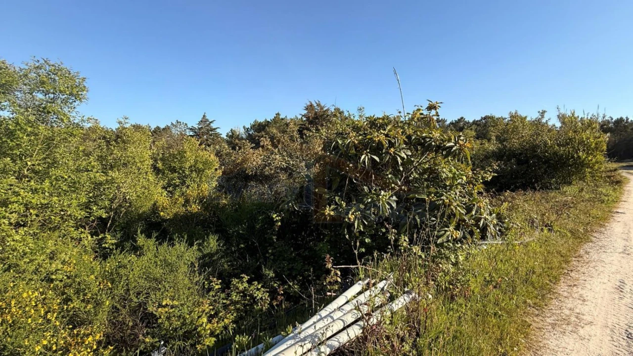 Terreno para Venda em Amoreira Foto 32