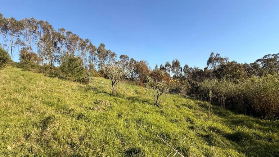 Terreno para Venda em Amoreira Foto 18