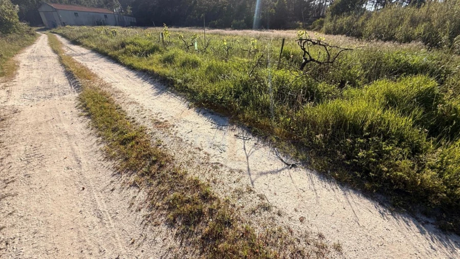 Terreno para Venda em Amoreira Foto 30