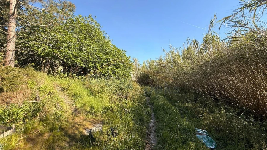 Terreno para Venda em Amoreira Foto 17