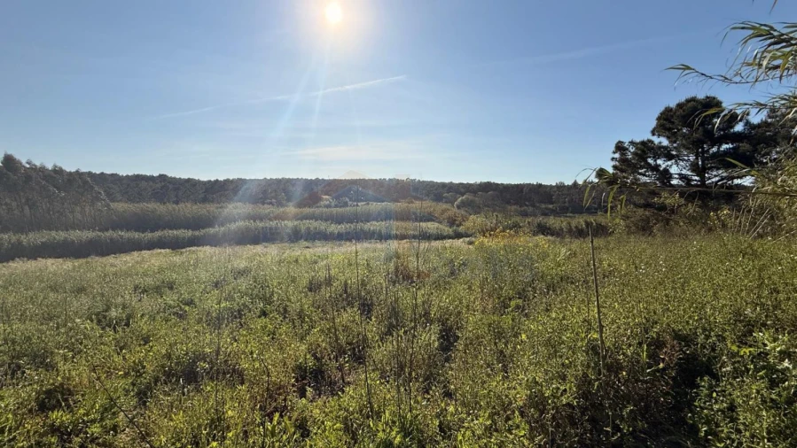 Terreno para Venda em Amoreira Foto 20