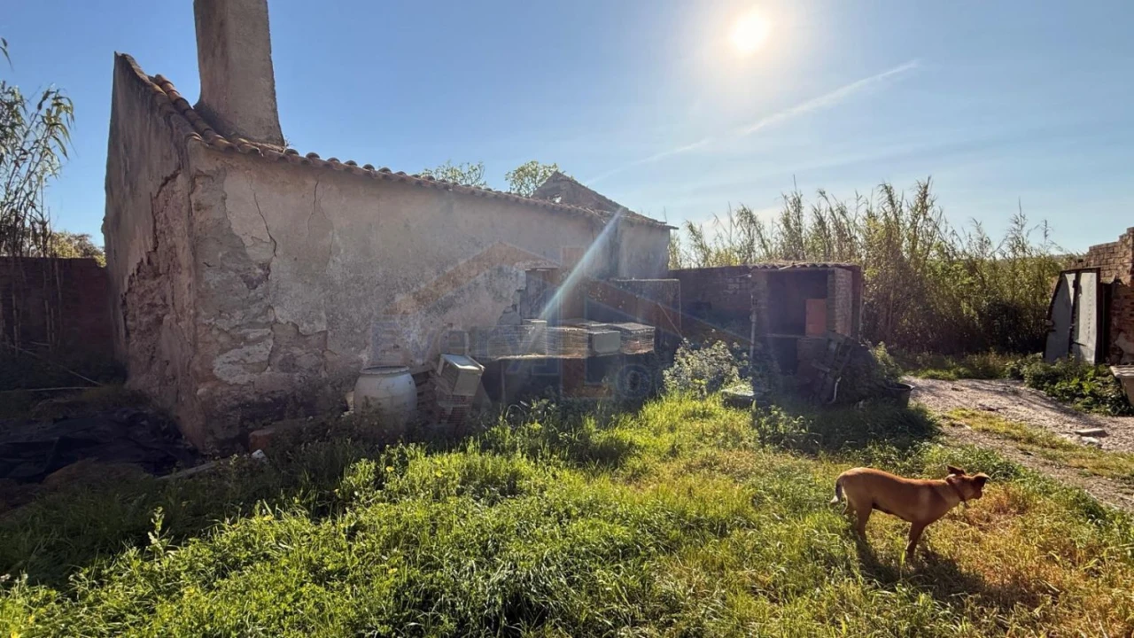 Terreno para Venda em Amoreira Foto 12