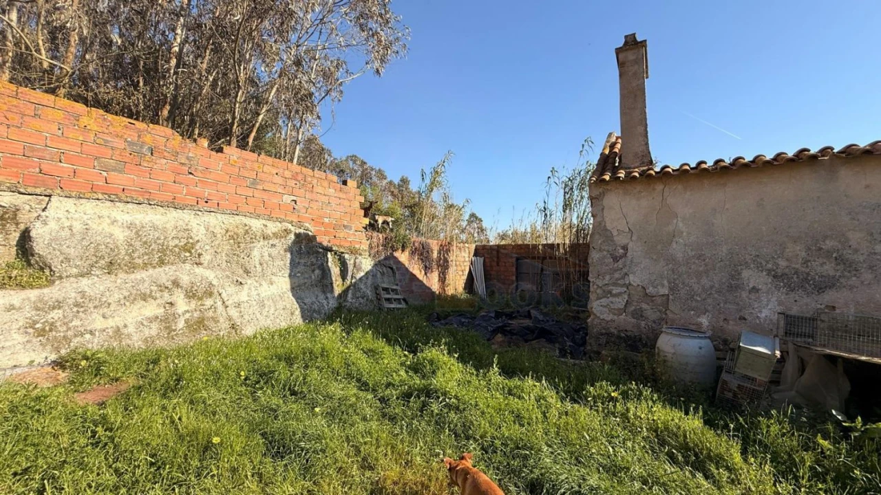 Terreno para Venda em Amoreira Foto 3